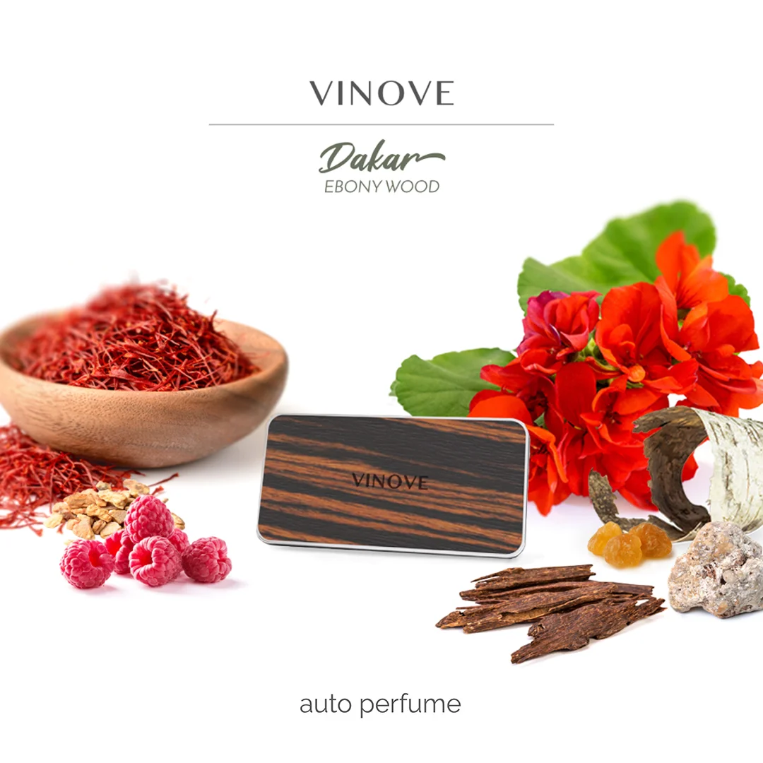 VINOVE - DAKAR - collage